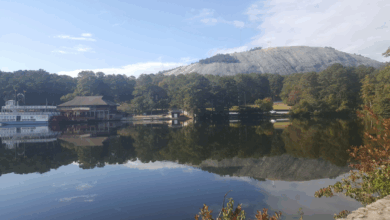 Featured Story Image