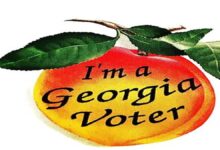 Georgia Voter