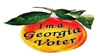 Georgia Voter