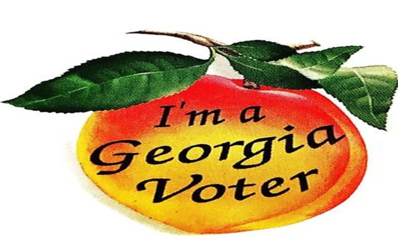 Georgia Voter