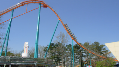 Goliath at Six Flags